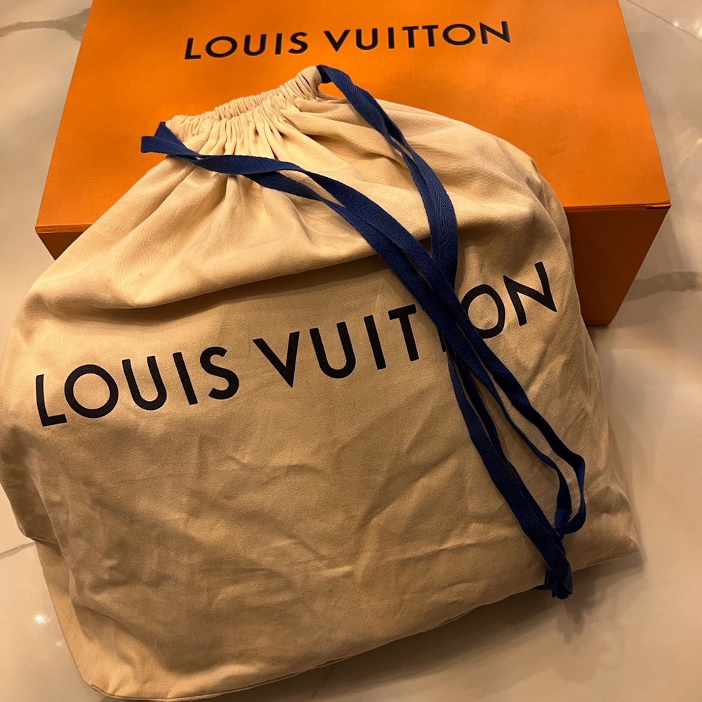 Louis Vuitton Campus Backpack Damien Infini Onyx Silver Leather - Picture 8 of 9
